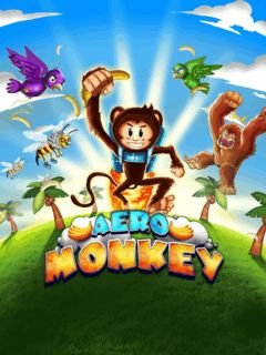 game pic for Aero Monkey